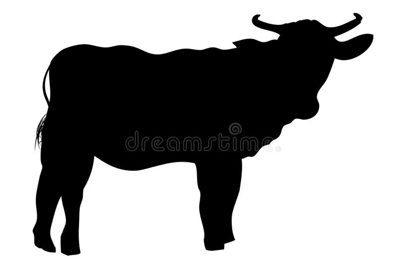 Detail Sapi Kurban Vector Nomer 22