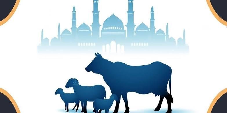 Detail Sapi Kurban Vector Nomer 23