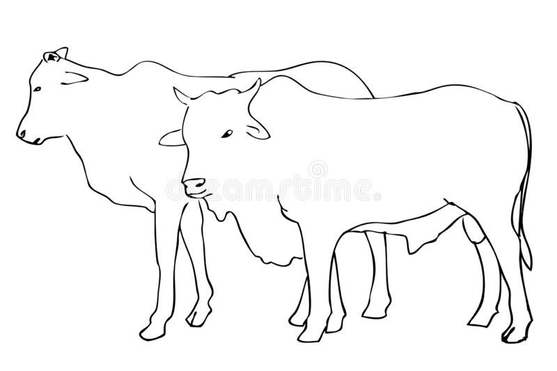 Detail Sapi Kurban Vector Nomer 4