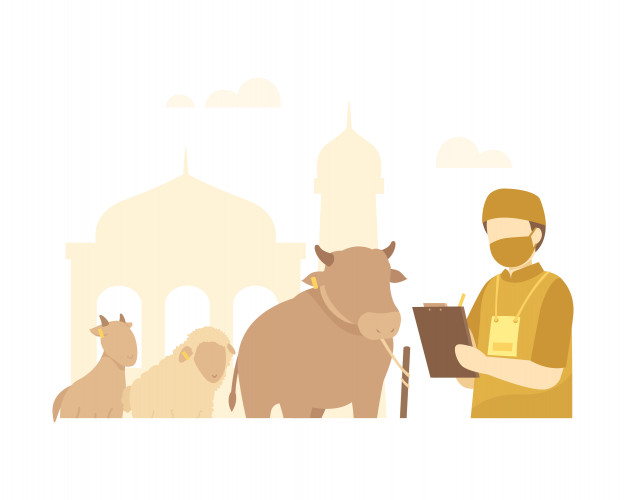 Detail Sapi Kurban Vector Nomer 38