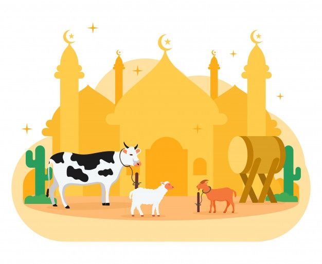 Detail Sapi Kurban Vector Nomer 50