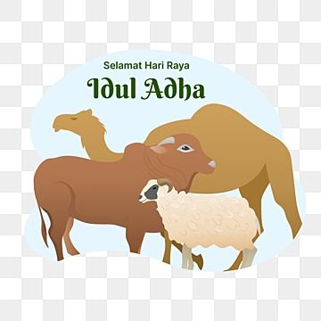 Detail Sapi Kurban Vector Nomer 55