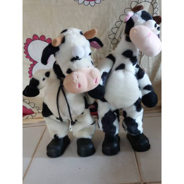 Detail Sapi Lucu Joget Nomer 12