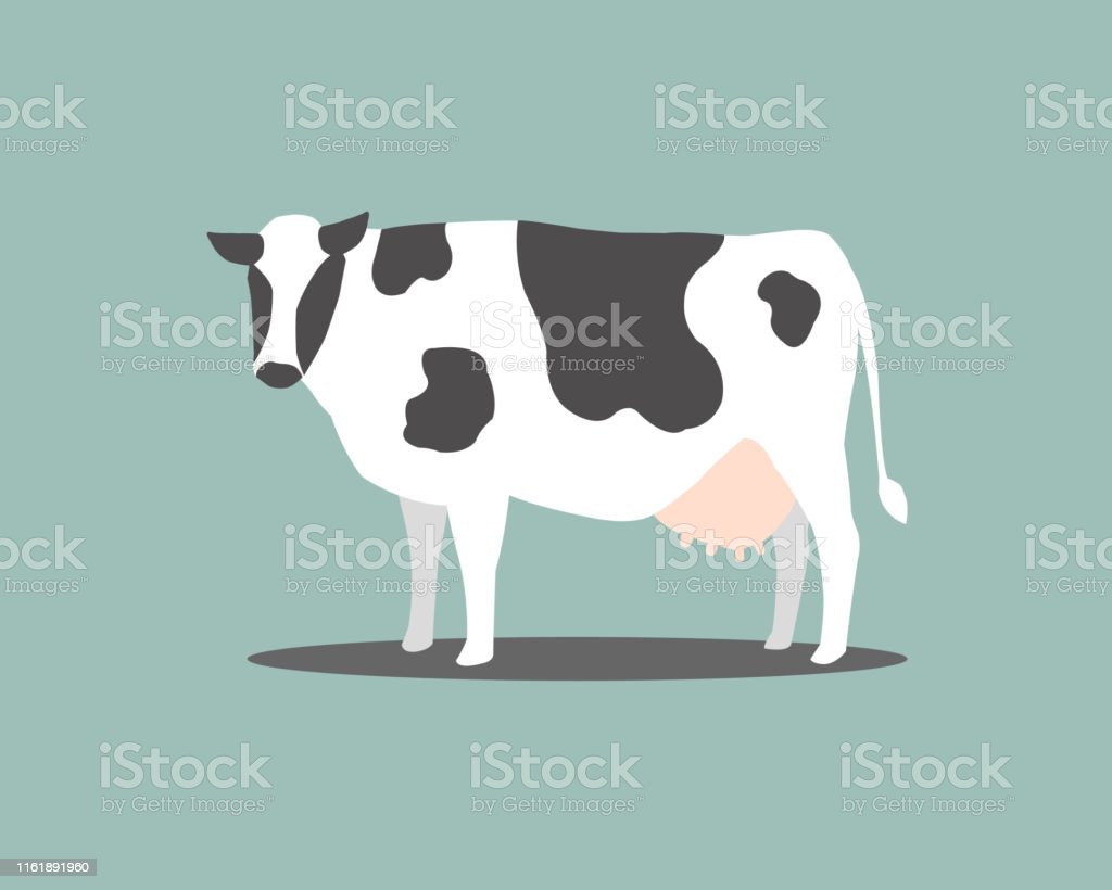 Detail Sapi Perah Vector Nomer 22