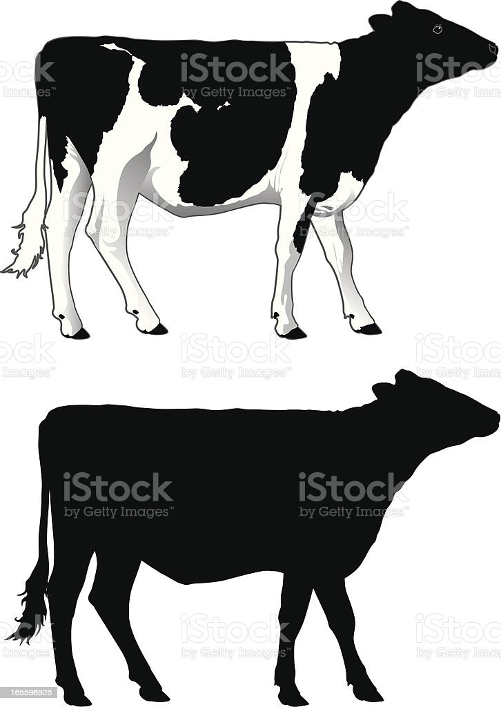 Detail Sapi Perah Vector Nomer 30