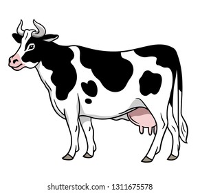 Detail Sapi Perah Vector Nomer 49