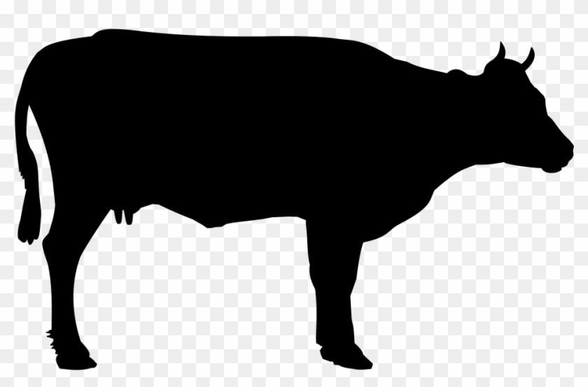 Detail Sapi Png Vector Nomer 12