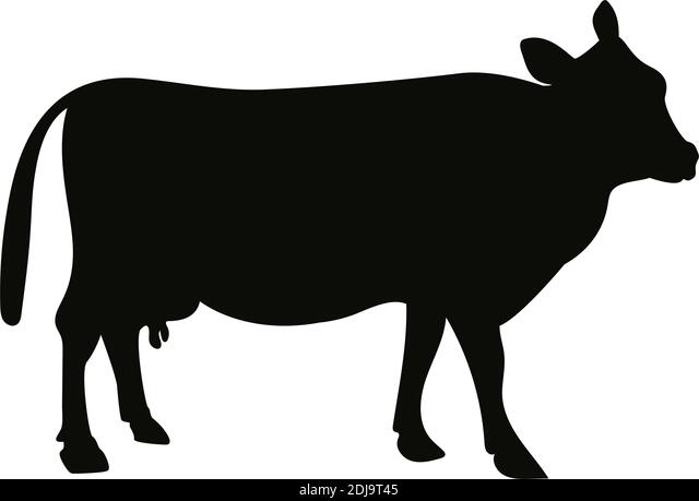 Detail Sapi Png Vector Nomer 23