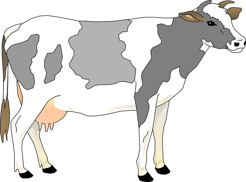 Detail Sapi Png Vector Nomer 36