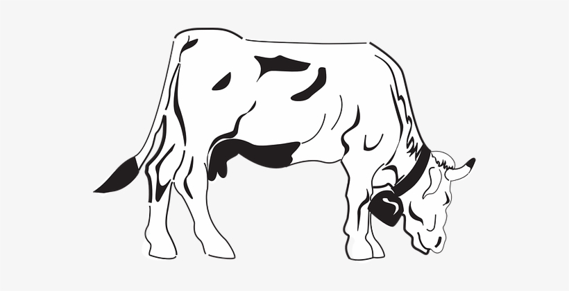 Detail Sapi Png Vector Nomer 58