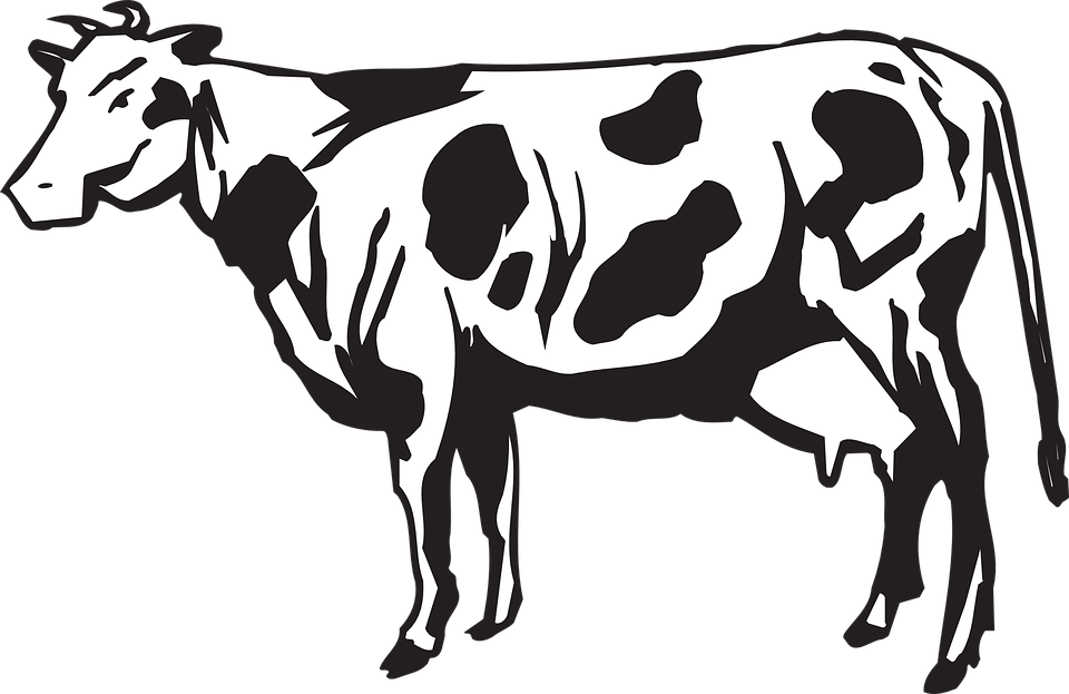 Detail Sapi Png Vector Nomer 9