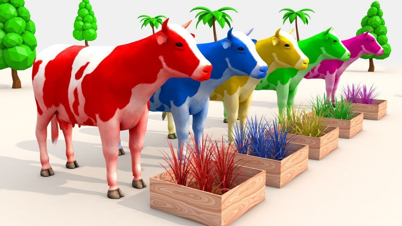 Detail Sapi Warna Warni Nomer 2