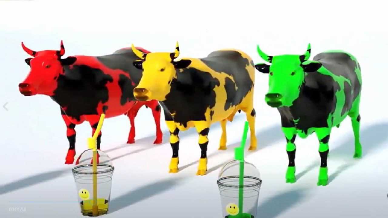 Detail Sapi Warna Warni Nomer 12