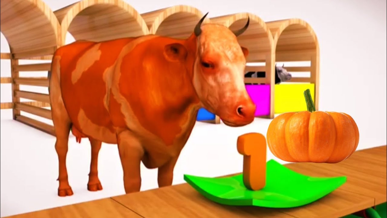 Detail Sapi Warna Warni Nomer 14