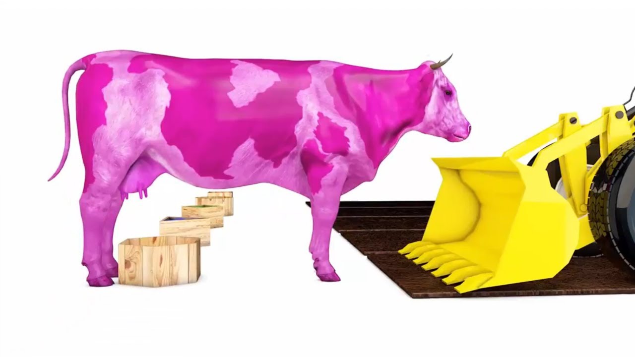 Detail Sapi Warna Warni Nomer 22