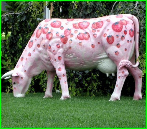 Detail Sapi Warna Warni Nomer 36