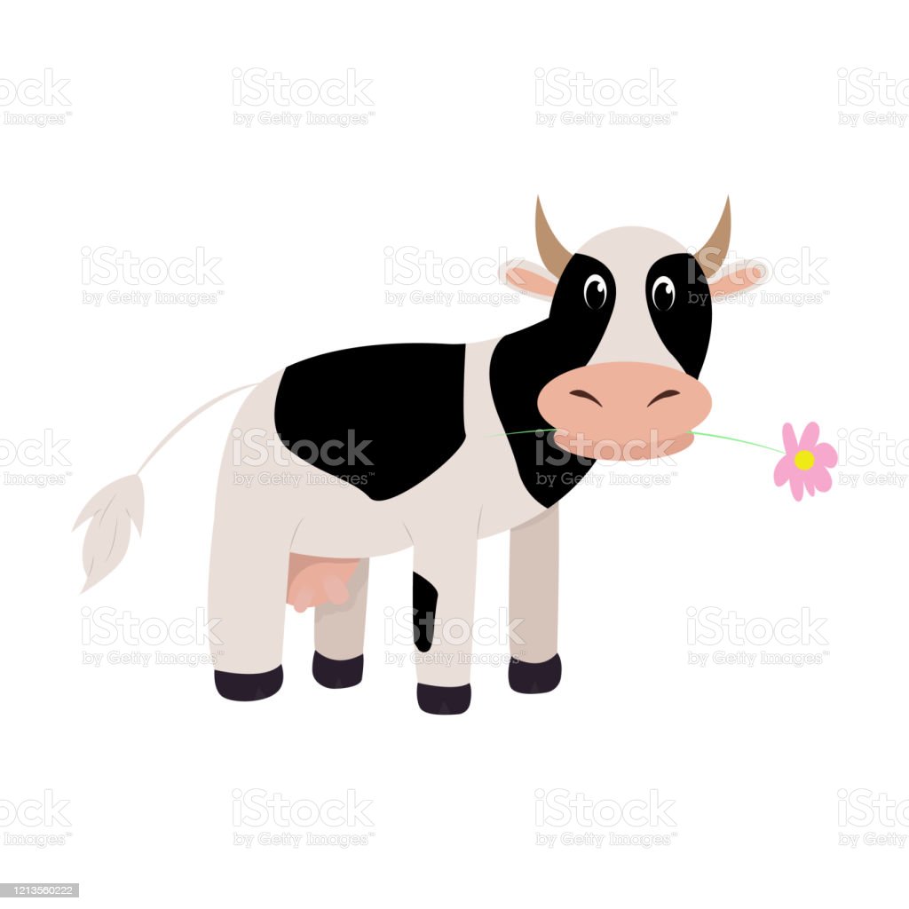 Detail Sapi Warna Warni Nomer 43
