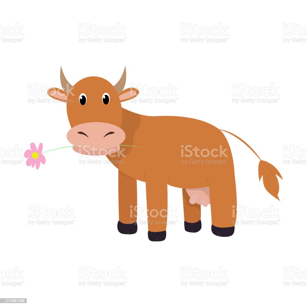 Detail Sapi Warna Warni Nomer 44
