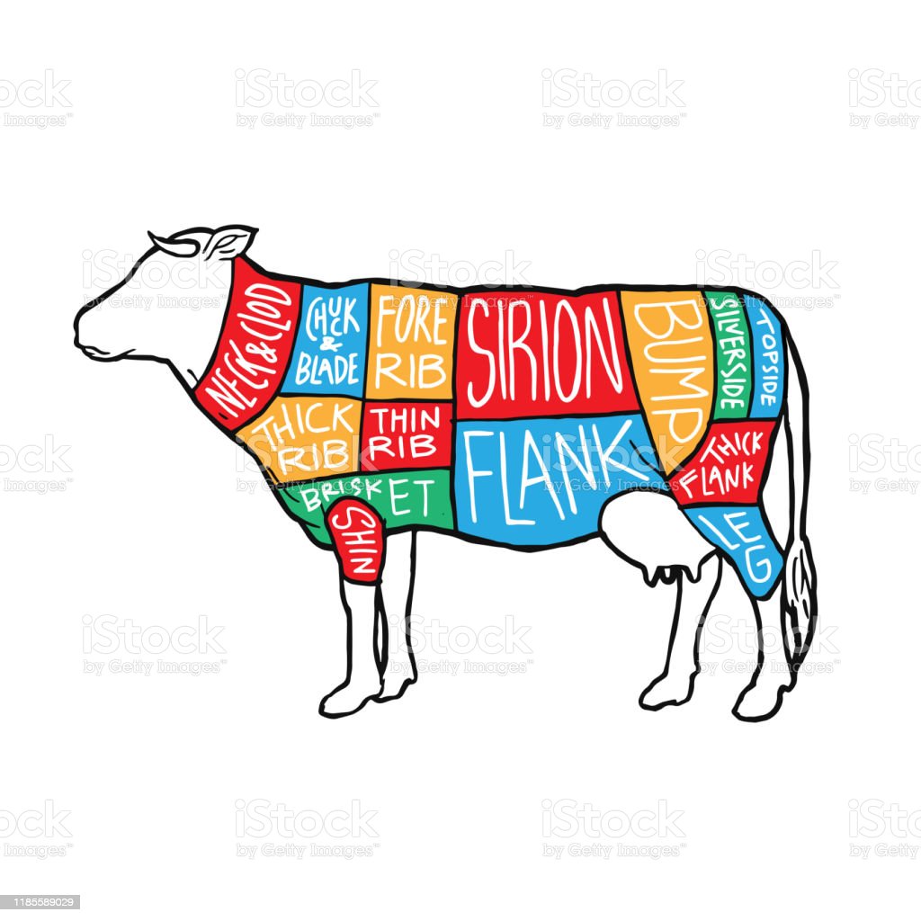 Detail Sapi Warna Warni Nomer 46