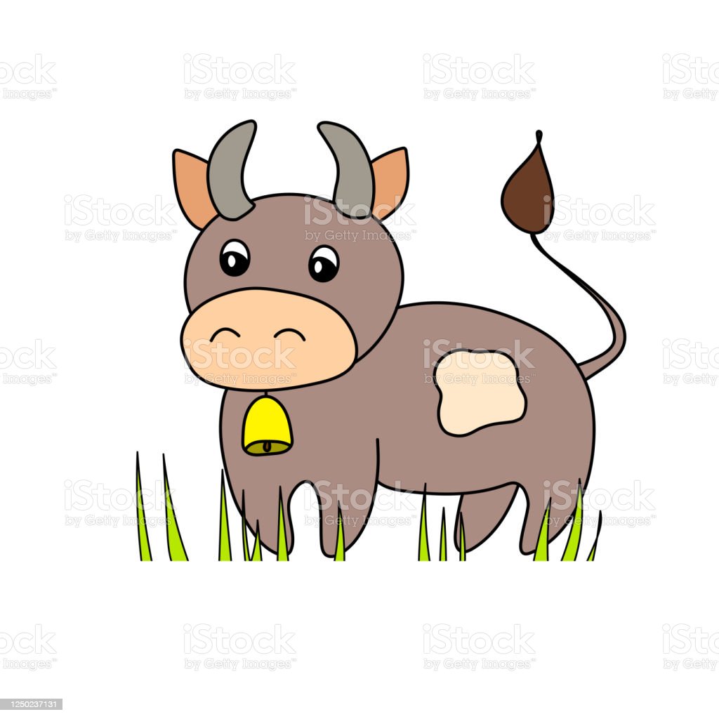Detail Sapi Warna Warni Nomer 49