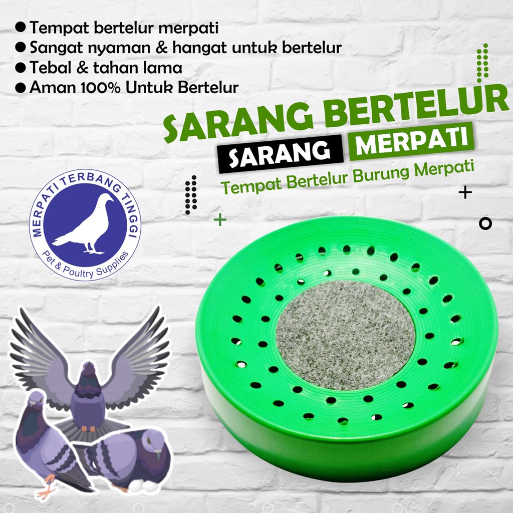 Detail Sarang Burung Dara Nomer 9