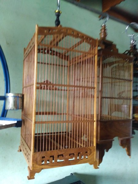 Detail Sarang Burung Dari Kayu Nomer 33