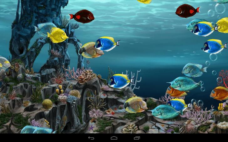 Detail Wallpaper Pemandangan Bawah Laut Hd Nomer 40