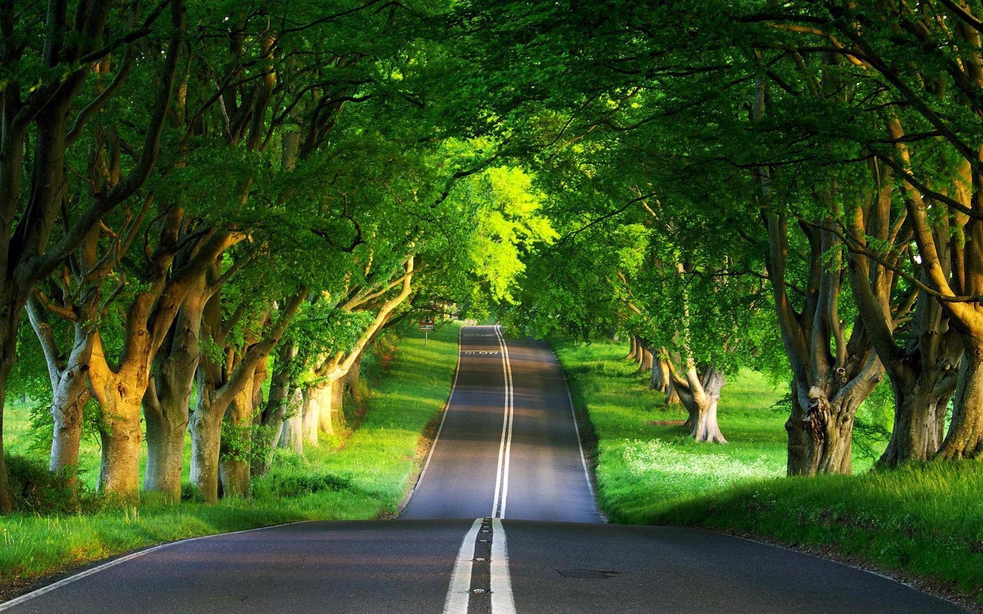 Detail Wallpaper Pemandangan Keren Nomer 2