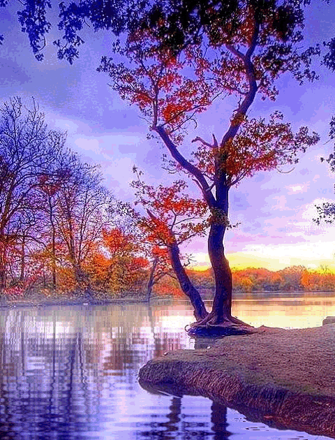 Detail Wallpaper Pemandangan Keren Nomer 11