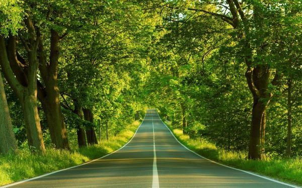 Detail Wallpaper Pemandangan Keren Nomer 19