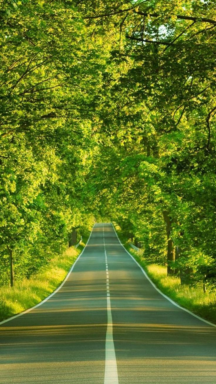 Detail Wallpaper Pemandangan Keren Nomer 8
