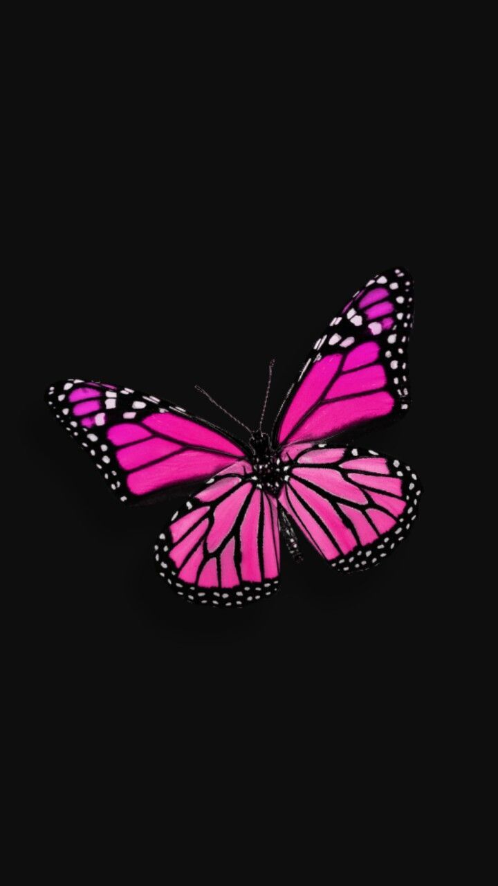 Detail Wallpaper Pink Black Nomer 32