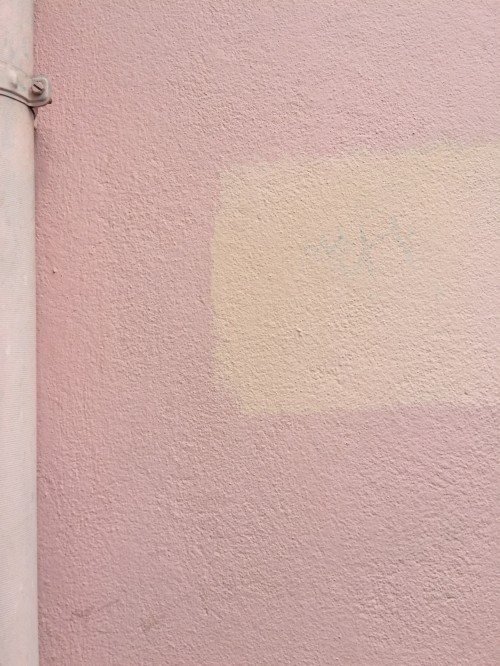 Detail Wallpaper Pink Polos Nomer 46
