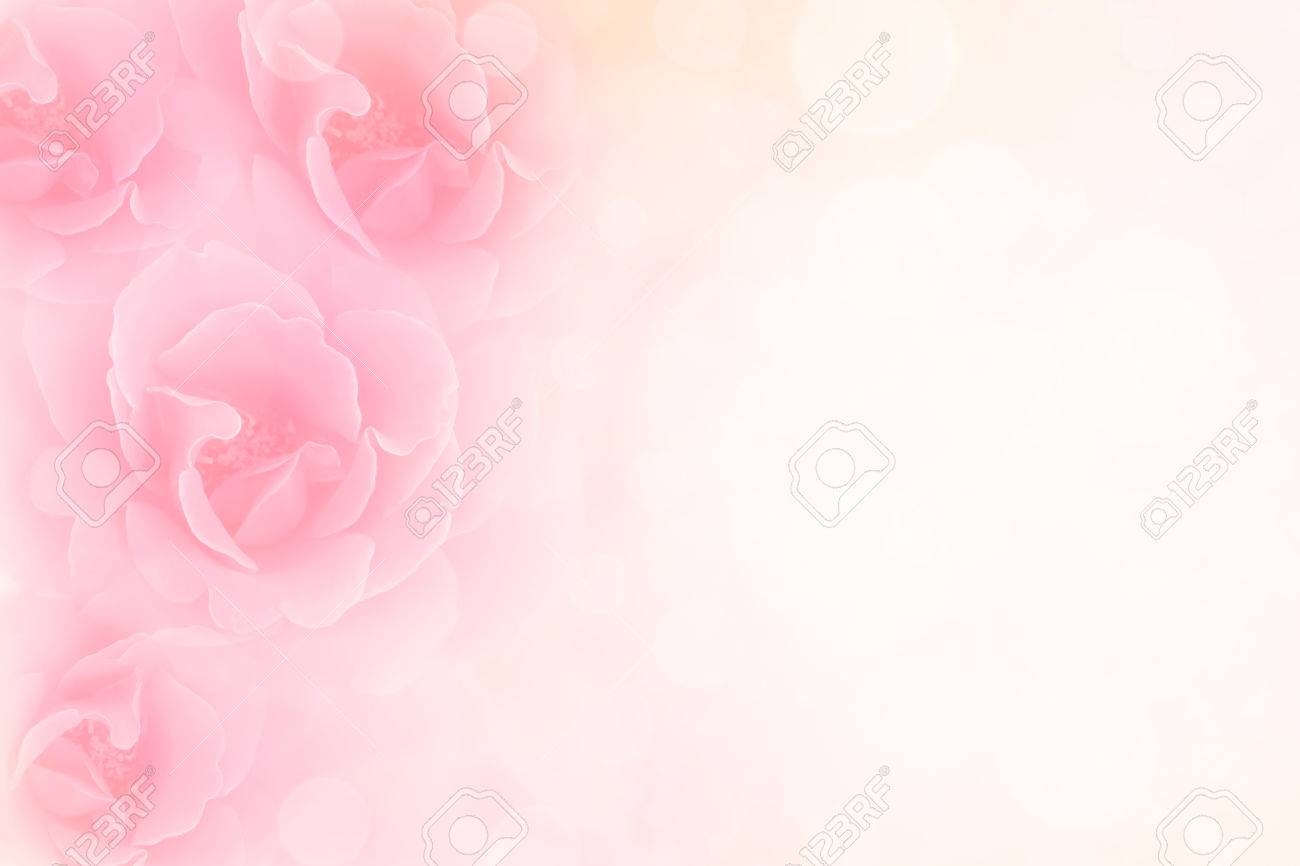Detail Wallpaper Pink Soft Nomer 27