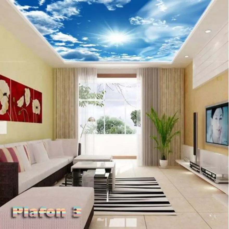 Detail Wallpaper Plafon Rumah Nomer 23