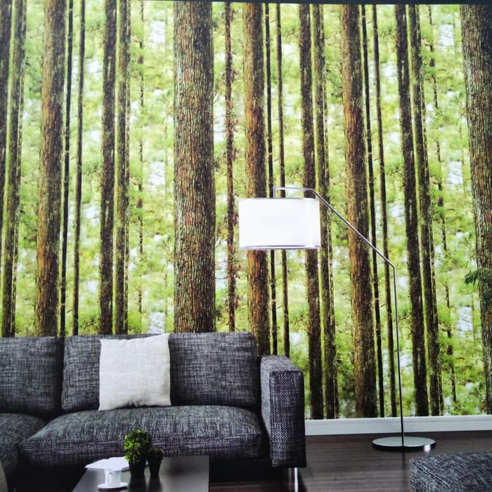 Detail Wallpaper Pohon Pinus Nomer 45