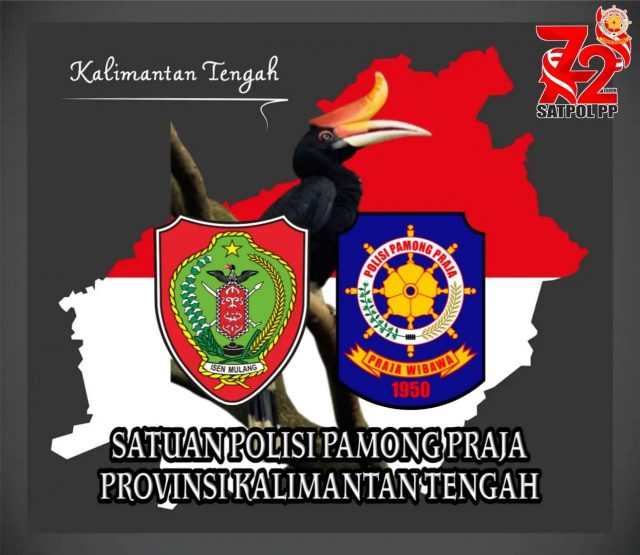 Detail Satpol Pp Logo Nomer 45