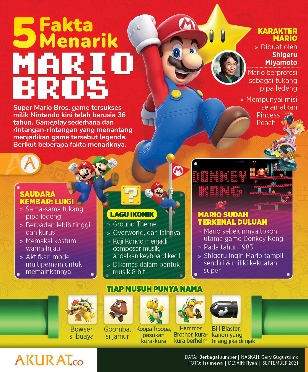 Detail Saudara Mario Bros Nomer 30