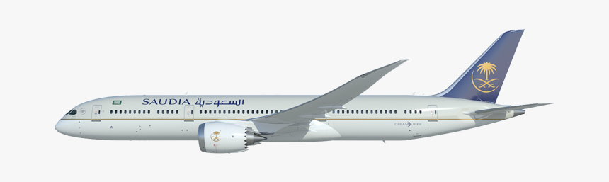 Detail Saudi Airlines Png Nomer 8