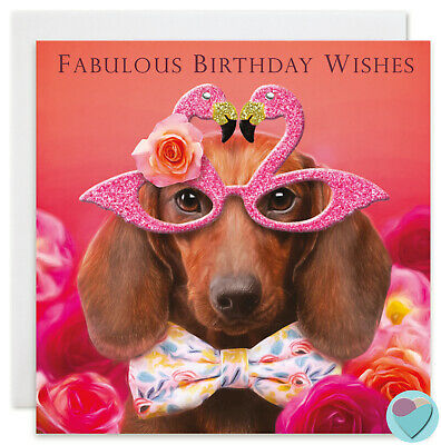 Detail Sausage Dog Happy Birthday Dachshund Nomer 24