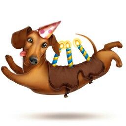 Detail Sausage Dog Happy Birthday Dachshund Nomer 26