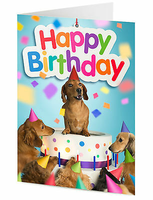 Detail Sausage Dog Happy Birthday Dachshund Nomer 32