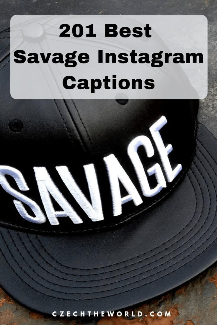 Detail Savage Quotes For Selfies Nomer 34