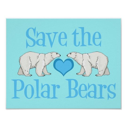 Save The Polar Bears Pfp - KibrisPDR