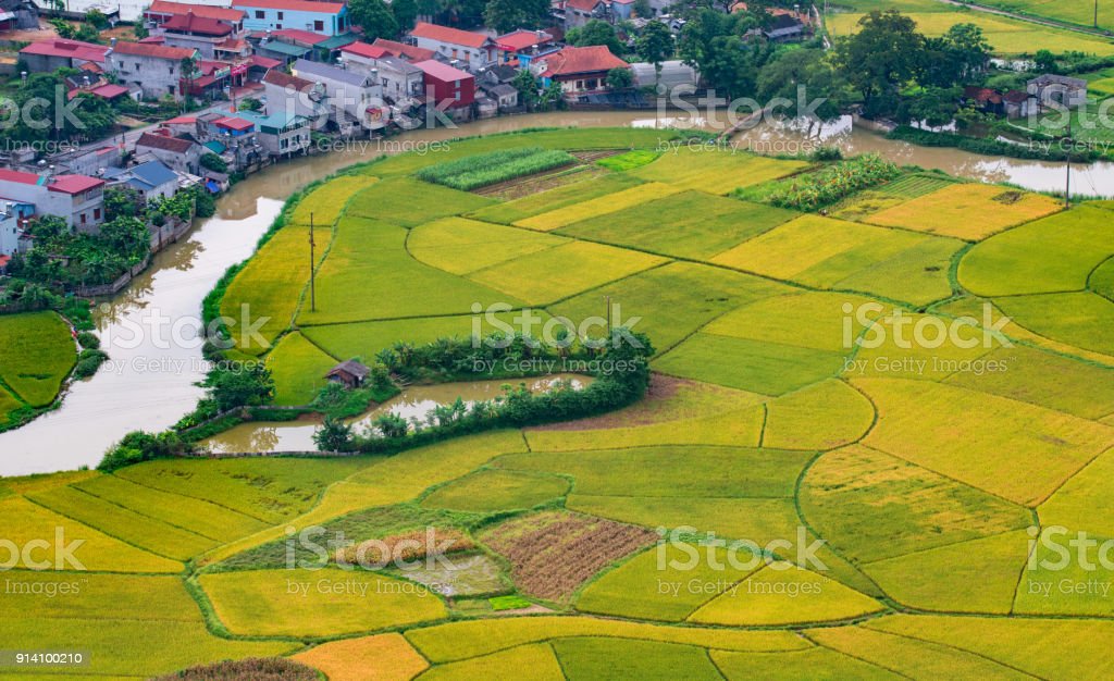 Detail Sawah Di Bentuk Gambar Nomer 45