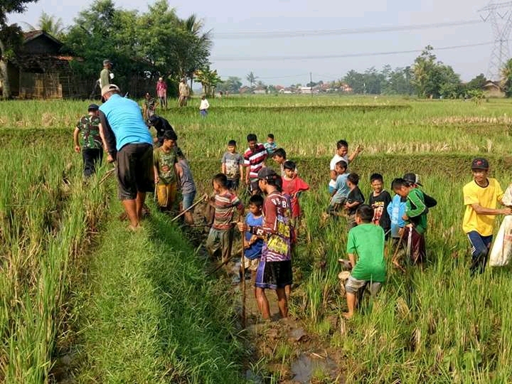 Detail Sawah Di Desa Nomer 33