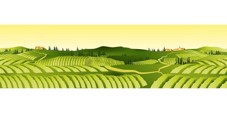 Sawah Vector Png - KibrisPDR