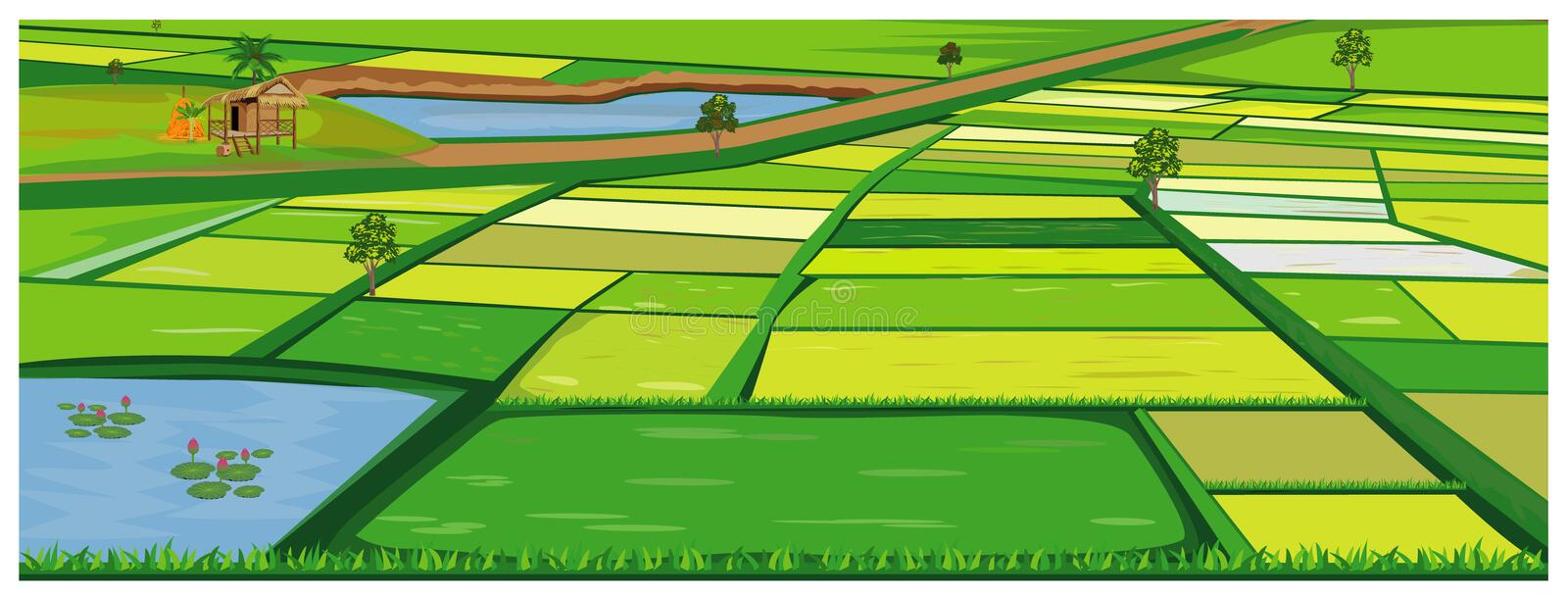 Detail Sawah Vector Png Nomer 2