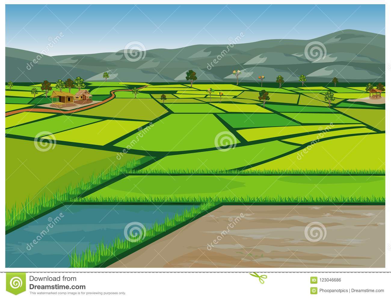 Detail Sawah Vector Png Nomer 12