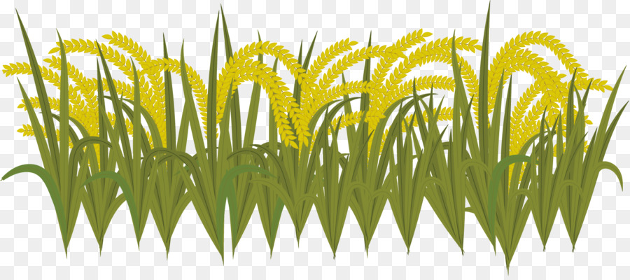 Detail Sawah Vector Png Nomer 25